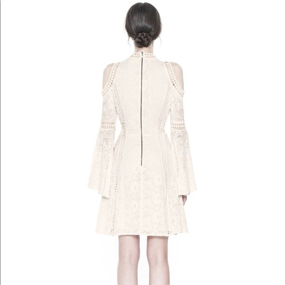 Alice + Olivia Enya Cold Shoulder Lace Dress - Picture 3 of 7